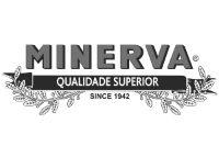 Minerva