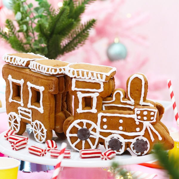 Treat Kitchen - Gingerbread TRAIN Kit (10x870g)