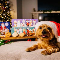 Farmhouse - Christmas Dog Rectangle Tin (12x225g)